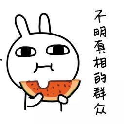 过度解读娱乐吃瓜酱,揭秘网络舆论背后的真相与偏见